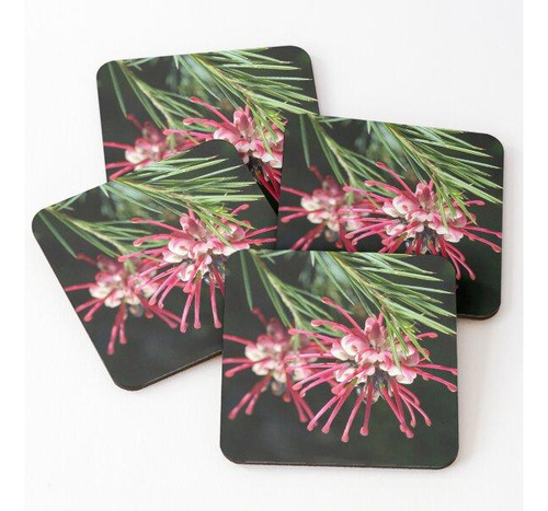 Set Posavasos Grevilleas De Australia Calidad Premium