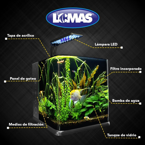 Imagen 4 de 6 de Pecera Equipada 18 Litros De Vidrio Nano Acuario C/ Luz Led