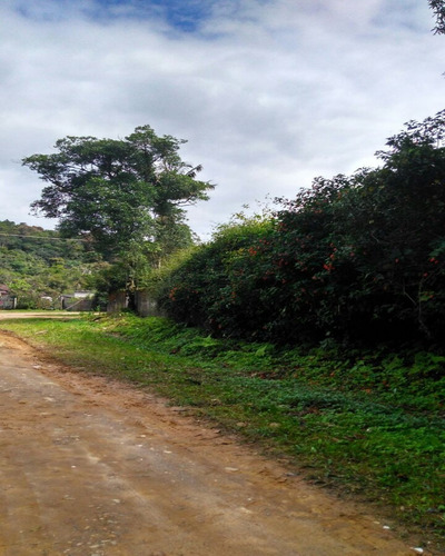 Imagem 9 de 11 de Chácara Vende-se - Ch00006 - 4510570
