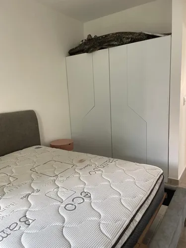 Casa En Renta, Puerto Morelos, 2 H, 1b, A 3km De La Playa, Con Alberca