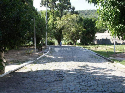 Imagem 12 de 17 de Terreno À Venda, 1001 M² Por R$ 290.000,00 - Piratininga - Niterói/rj - Te2694