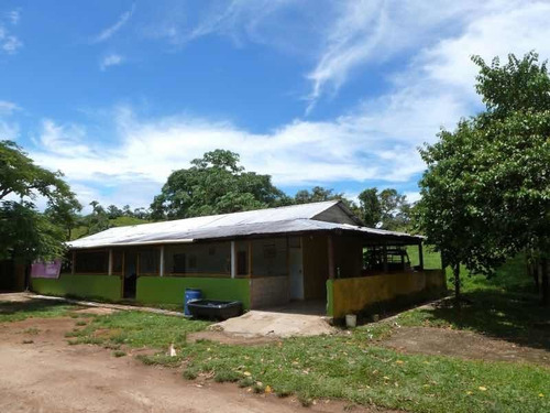 Imagen 6 de 9 de Finca En Venta En Santa Bárbara