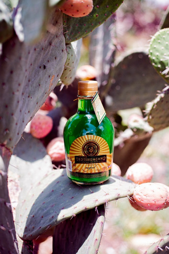 Imagen 4 de 6 de Bebida Artesanal De Nopal 375 Ml