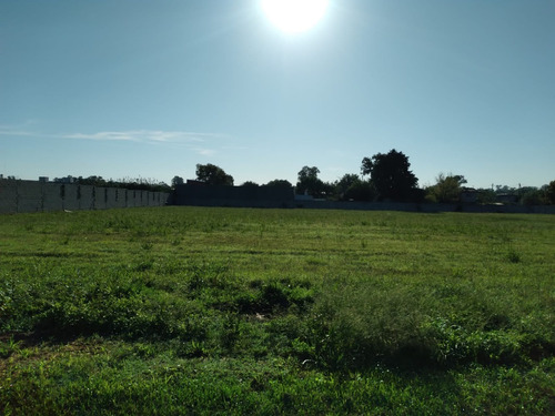 Imagen 3 de 6 de Lote Terreno Campo 1 Hectárea En Garín, Posibilidad 20 Lotes