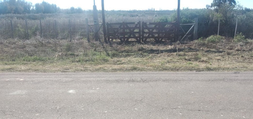 Imagen 23 de 24 de Predio Urbano/rural S. Rafael Las Malvinas Mendoza