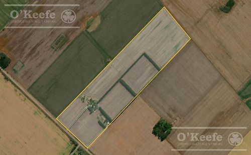Imagen 24 de 29 de Chacra De 29 Has En Venta En Baradero - Ideal Fin De Semana Y Producción Agrícola