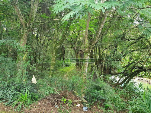 Área À Venda, 5053 M² Por R$ 1.350.000,00 - Tingui - Curitiba/pr - Ar0001