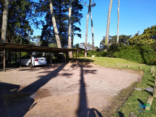 Pedragosa Sierra (cuadra Del Floreal ) Cómodo Duplex Con Fondo Y Parrillero Propio