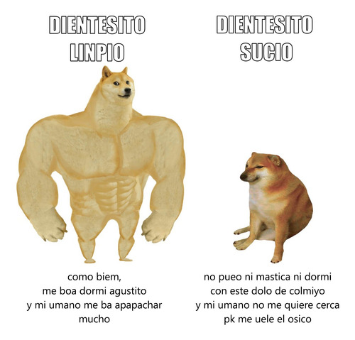 X3 Cepillo De Dientes 3d (3 Lados) P/ Perros Gatos Mascotas