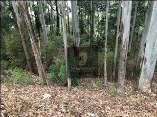 Lindo Lote No Tamboré 1 - Te0222