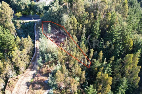 Imagen 2 de 9 de Venta Terreno Lonco Parque, Chiguayante