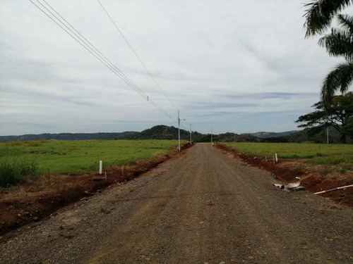 Imagen 10 de 14 de Lotes P/quintas Desde ¢24.5 Millones, 5.000 M2, San Mateo