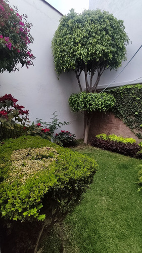 Renta Casa Boulevares Colinas De Las Ventiscas