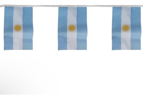 Imagen 2 de 3 de Guirnalda 10 Banderas Banderines Argentina 30 X 45cm