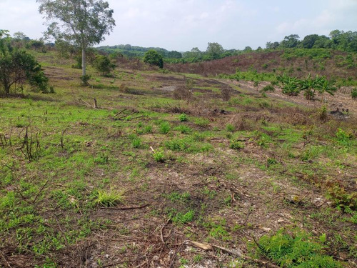 Venta De Terrenos Colonia Altamira Tuxpan Veracruz.