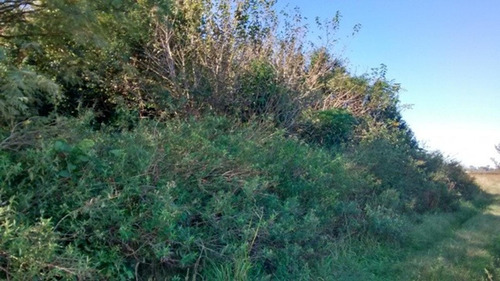 Imagen 6 de 8 de Campo Sobre Ao12 Agro/gandero/industrial