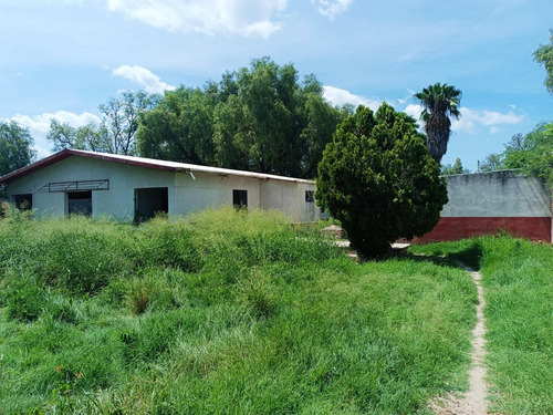 Propiedad En Renta/venta Camino A San Jose De Los Mendoza San Juan De La Vega Celaya