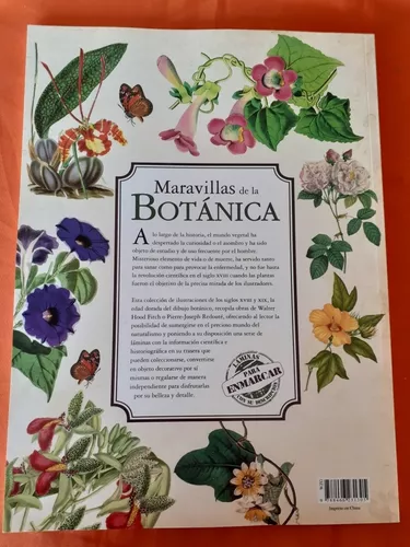 Láminas de Botánica