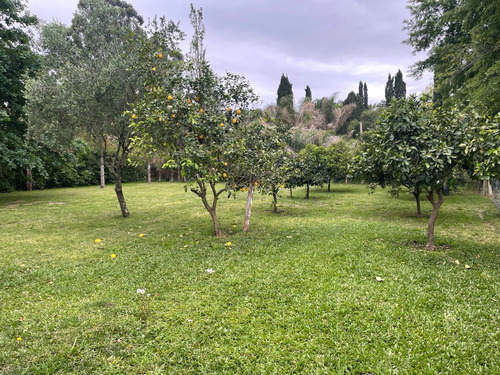 Casa Quinta En Oportunidad- Loma Verde