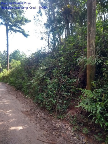 Imagem 8 de 9 de Terreno - Te00046 - 69207640