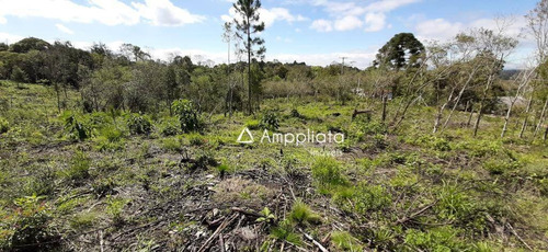 Chácara À Venda, 2.000 M² Por R$ 210.000 - Chácaras Olhos D´água - Campina Grande Do Sul/pr - Ch0060