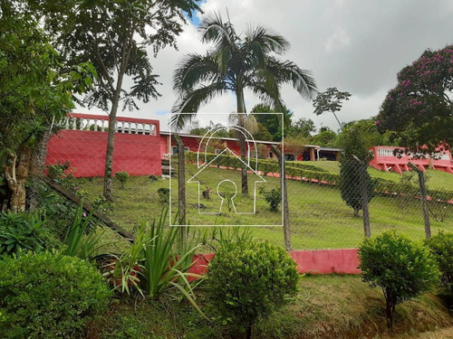 Imagem 13 de 15 de Chácara De 3.000m² À Venda Em Jarinu - Ch28343
