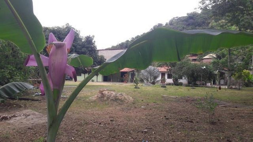 Imagem 9 de 10 de Casa À Venda Por R$ 400.000,00 - Engenho Do Mato - Niterói/rj - Ca1090