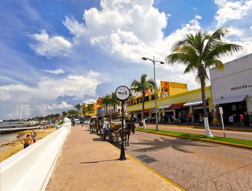 Departamento Con Alberca, Jacuzzi, Asador, Pádel, Bar, En Ve