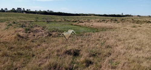 Imagen 24 de 30 de En Venta Chacra De 7,5 Has Con Casa, Ruta 39 - Maldonado Ruta 39