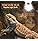 Lámpara Lucky Herp Uva Uvb Para Reptiles 10.0, Lámpara Fluo