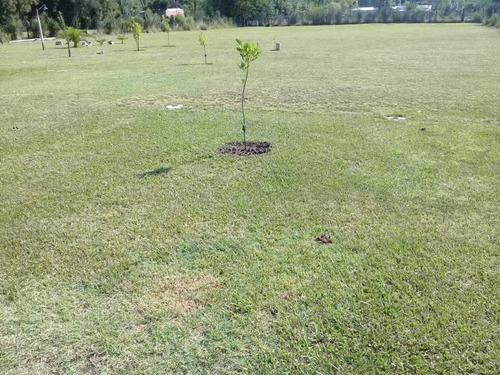 Imagen 9 de 10 de Amplia Propiedad En Venta Con Lote De 3750 M²