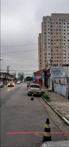 Imagem 29 de 30 de Terreno À Venda Na Vila Carmosina - Te1683