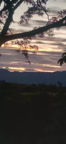 Finca