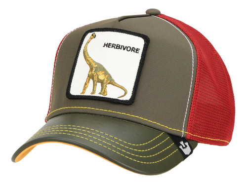 Gorra Goorin Thunder Lizard En Marron | Moov