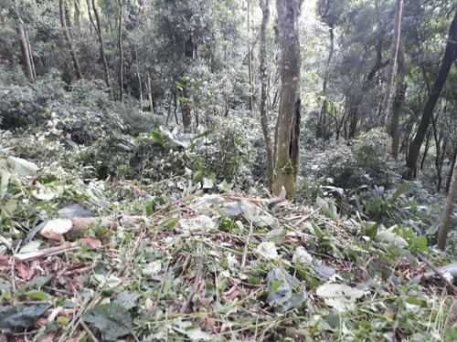 Imagem 6 de 14 de Terreno Bem Localizado - Possibilidade De Permuta Parcial.