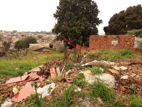 Imagem 2 de 7 de Terreno Em Rua - 323677-v