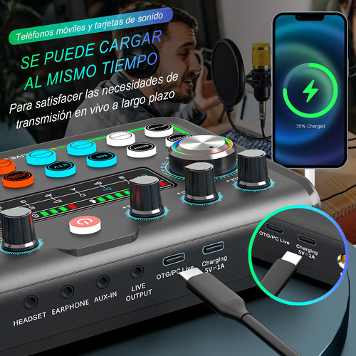 Micrófono Condensador Y Tarjeta Sonido Mezclador 2 Entradas