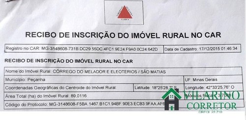 Imagem 2 de 3 de Fazenda Para Gado No Vale Do Rio Doce - 3100