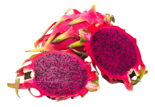 Muda De Pitaya Vermelha Enraizada Orgânica Para Vaso