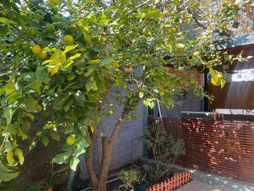Casa En Ñuñoa De 3 Niveles Con Piscina, Jardín Y Quincho