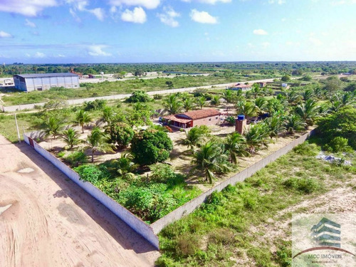 Imagem 16 de 17 de Granja A Venda Em Macaíba