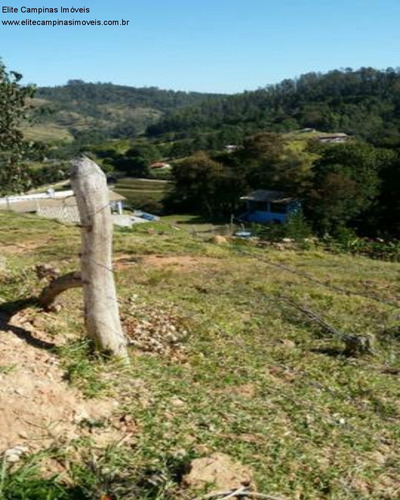Imagem 3 de 4 de Chacara - Ch00086 - 34939077