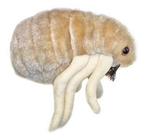 Peluche Pulga Ctenocephalides Giant Microbes