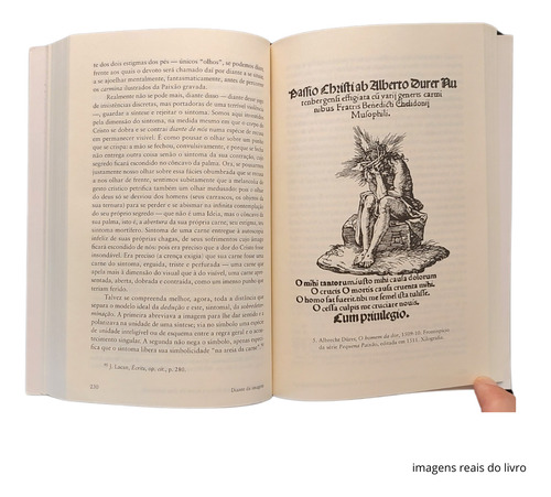 Diante Da Imagem (editora 34) De Georges Didi-huberman