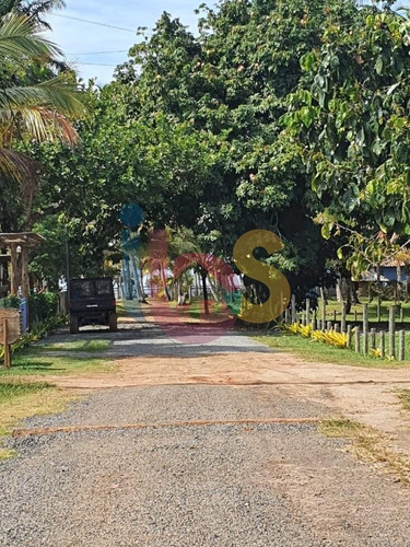 Imagem 22 de 23 de Casa Com 5 Suítes Em Serra Grande - 5493