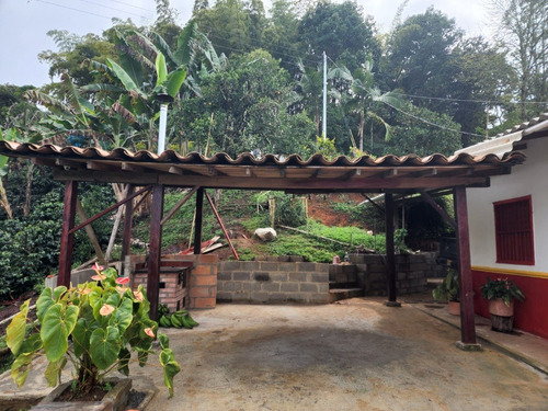Imagen 16 de 20 de Venta De Finca Cafetera En Jericó Antioquia