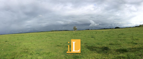 Imagen 4 de 10 de Venta De Campo En Brandsen