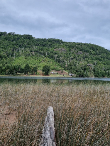 Parcela De 2 Ha Con Vista Al Lago Blanco En Llanada Grande