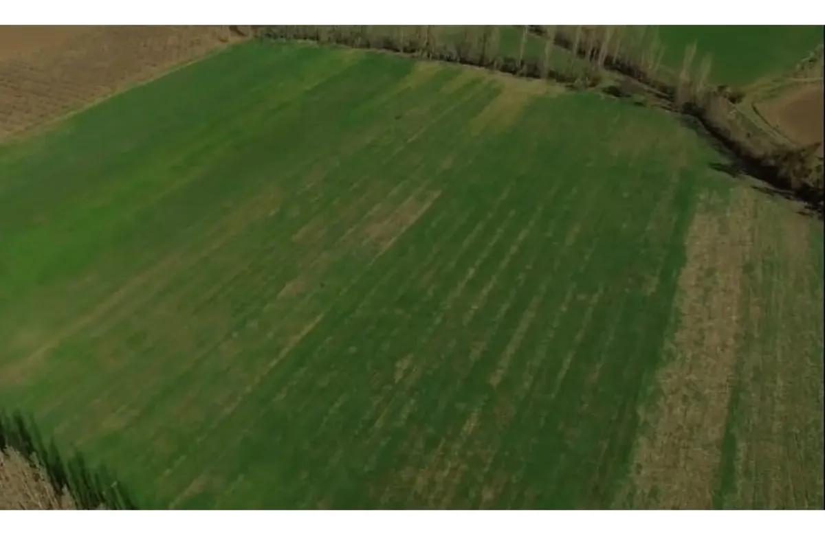 Imagen 5 de 16 de Vende Parcelas De 5.000 Mt2, Rol Propio, En Rinconada De Los