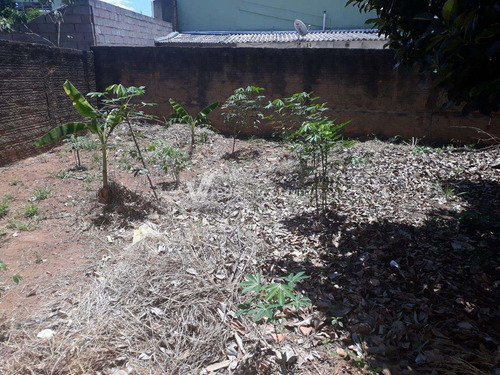 Imagem 2 de 4 de Terreno À Venda Em Parque Jambeiro - Te284535